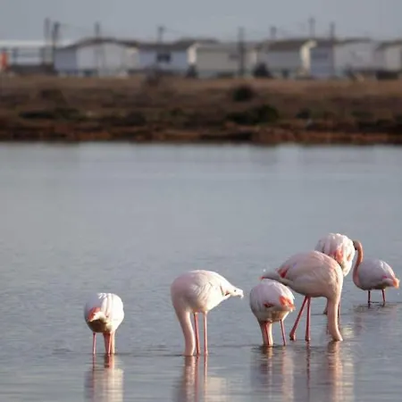 Les Ilots De 3* Gruissan